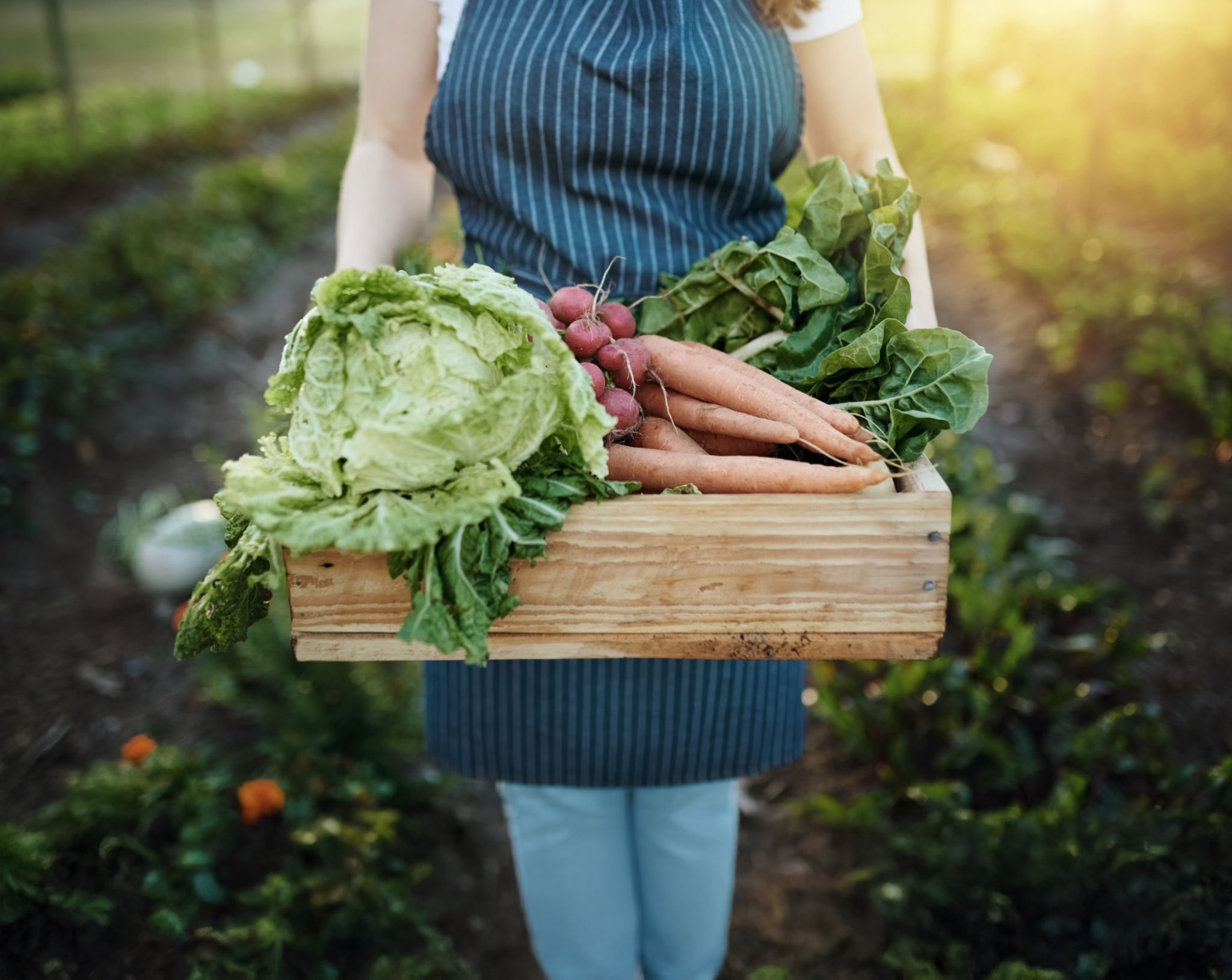 Cropped shot of an unrecognizable young woman working on her self owned farm